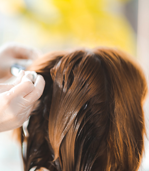 Hair Botox Reconstruction